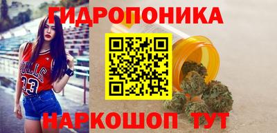 Альфа ПВП Будённовск