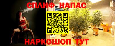 СК Бугуруслан