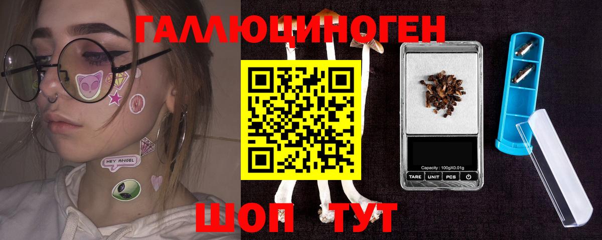 Псилоцибиновые грибы Cubensis Уссурийск